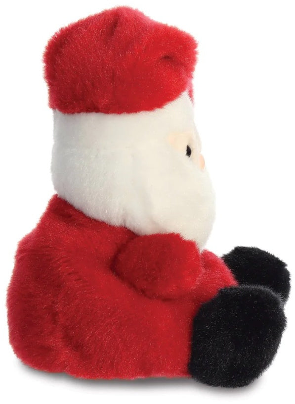 Palm Pals Santa