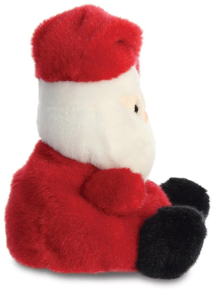 Palm Pals Santa